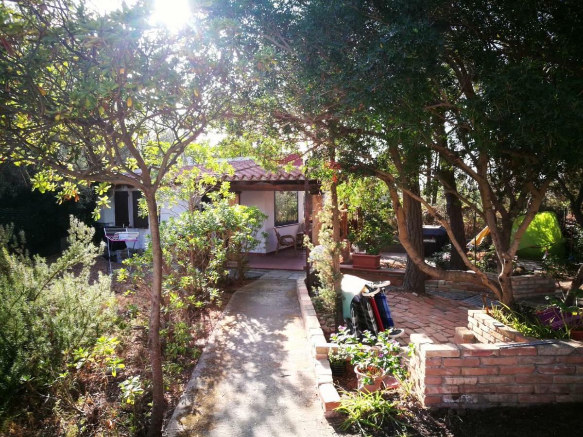 Tiny House Villa Cagliari Buitenkant foto